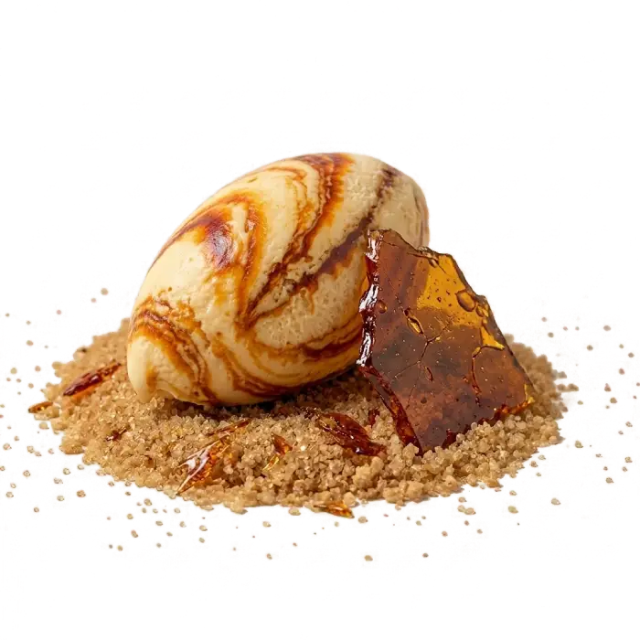 Helado suave de crema catalana con su acabado de azúcar caramelizado y toques especiados cálidos