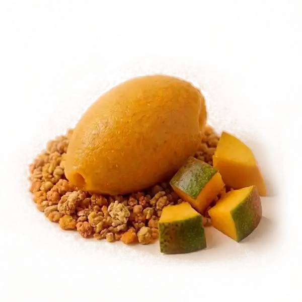 Sorbete de mango Alphonso con una estructura densa de fruta pura